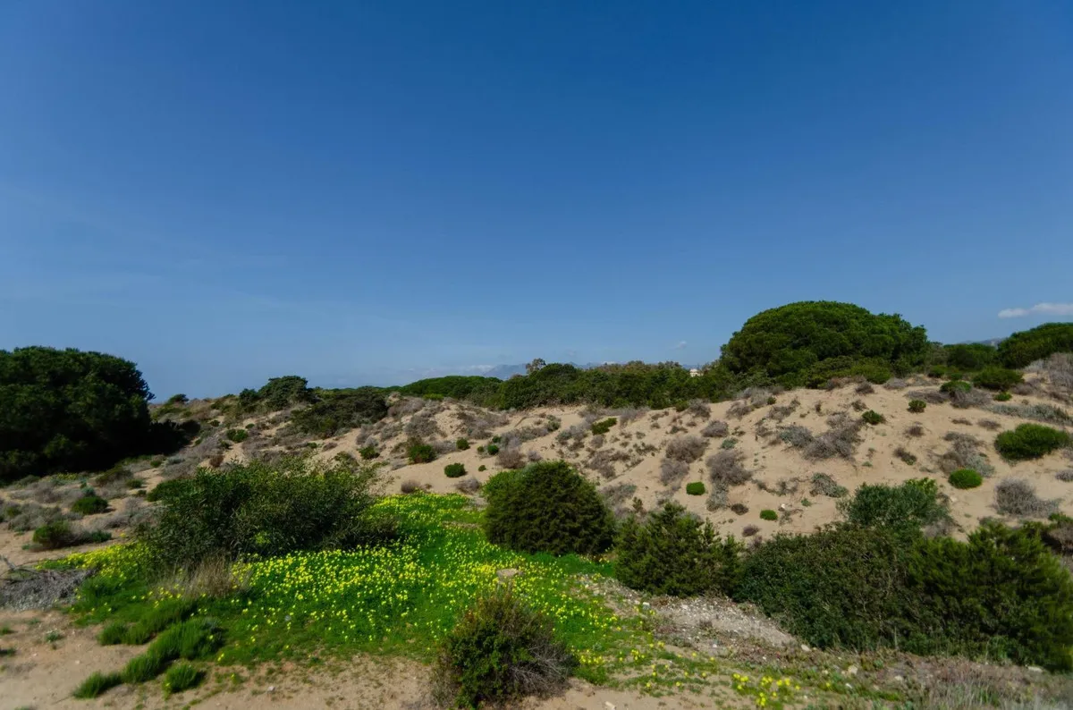 c523e306-ffdb-4e4c-b8b6-e0bf5f57b064