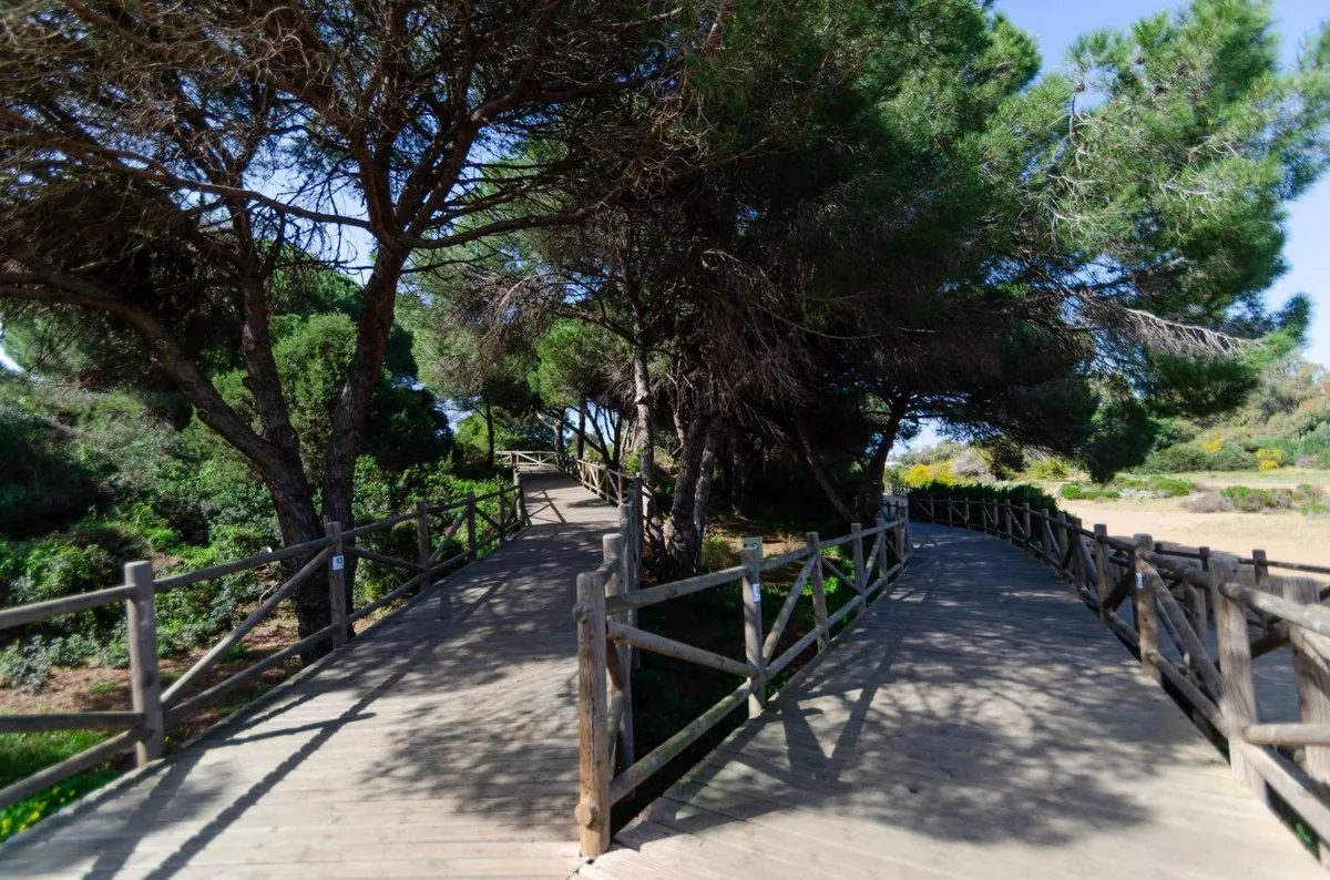 f42eff05-9cb5-430d-b8de-516b586f15cd