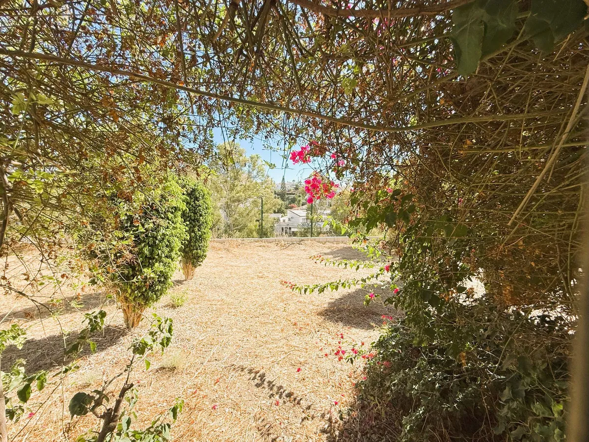 8c9c158a-7a4c-4a43-8ce1-b95147725588