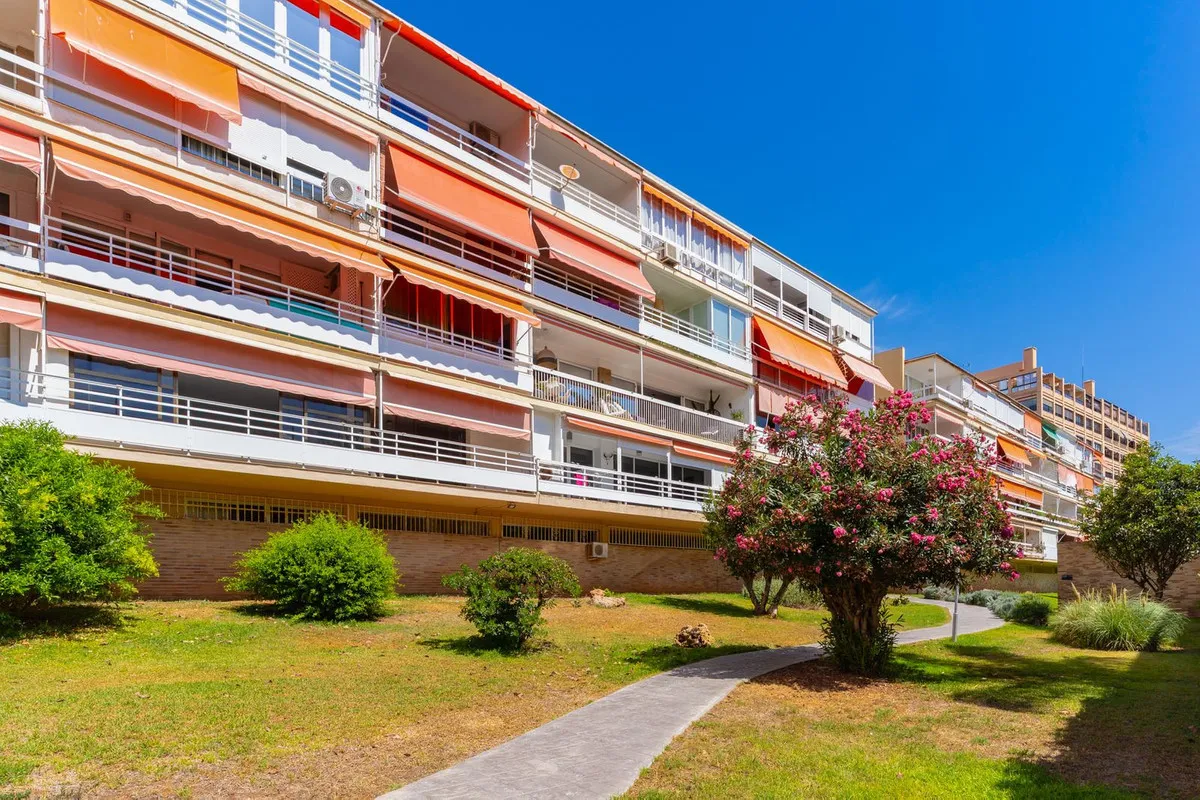 cbf01395-bce9-4893-9409-7053cf4f0bad