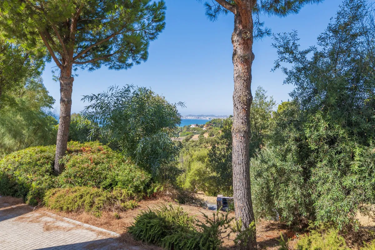 0e885f04-64ef-4bb8-99f6-65e8f94967f8