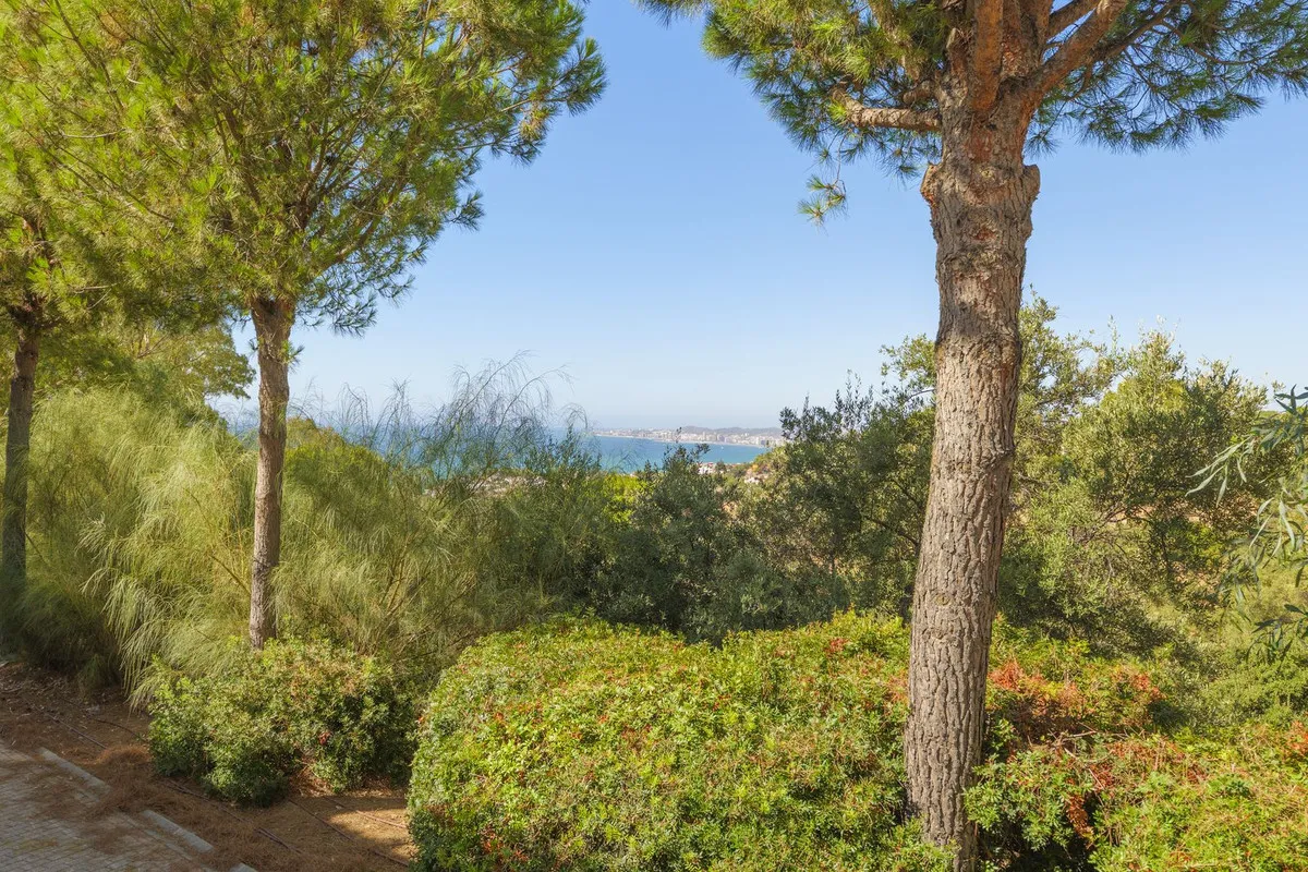 3bae2f2e-6ec5-4325-9356-dfe6fcac7281