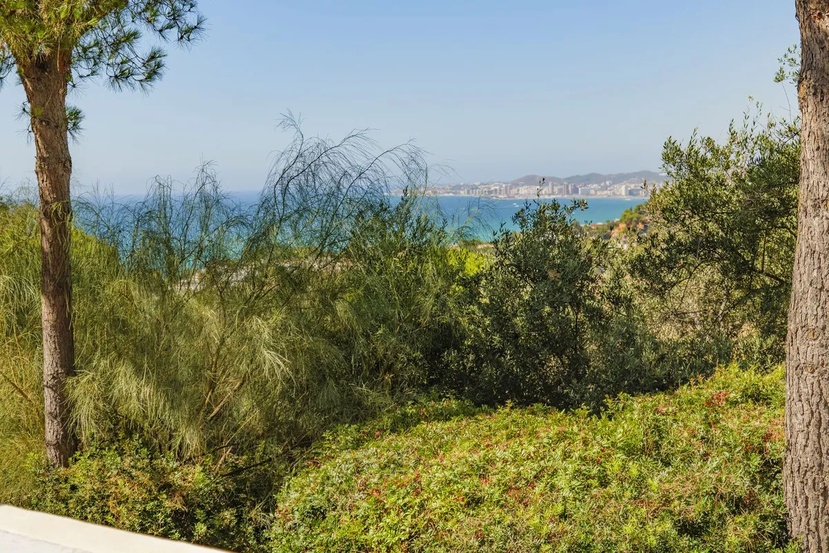 95b9291c-78a7-4d77-989e-bf843a135b55