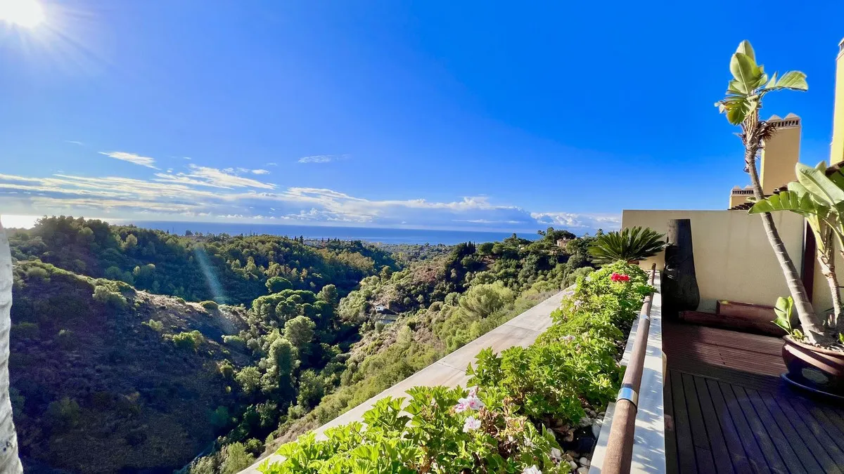 c91b3bd4-7c0e-4bbb-96c5-9edd9de99a32