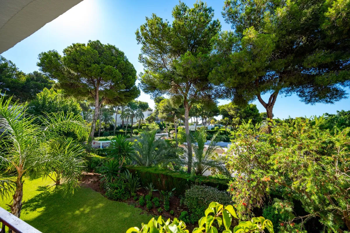 e41e2425-bb3f-46d1-83a0-f6755ab35e2b