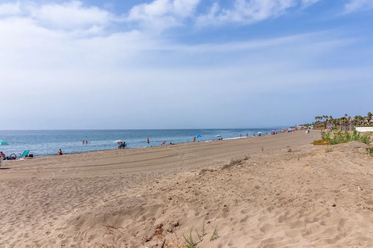 f2915a9a-26fe-434d-81db-2e4777e8bddd