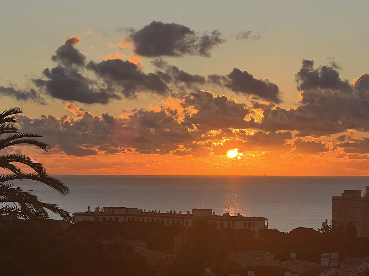 a9a69a84-4680-494e-a5f3-e97d770841f6