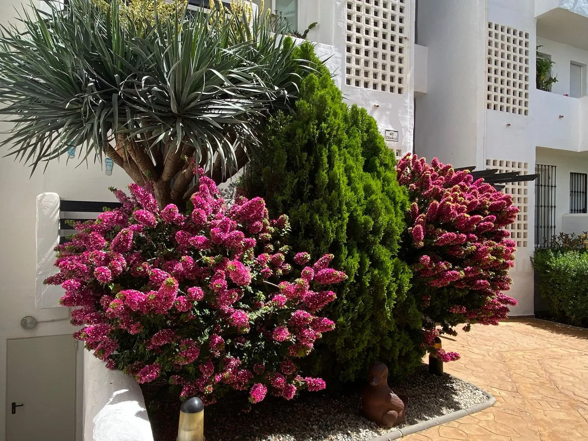 1497d5e2-748b-43d6-95c7-93f3263d09ff