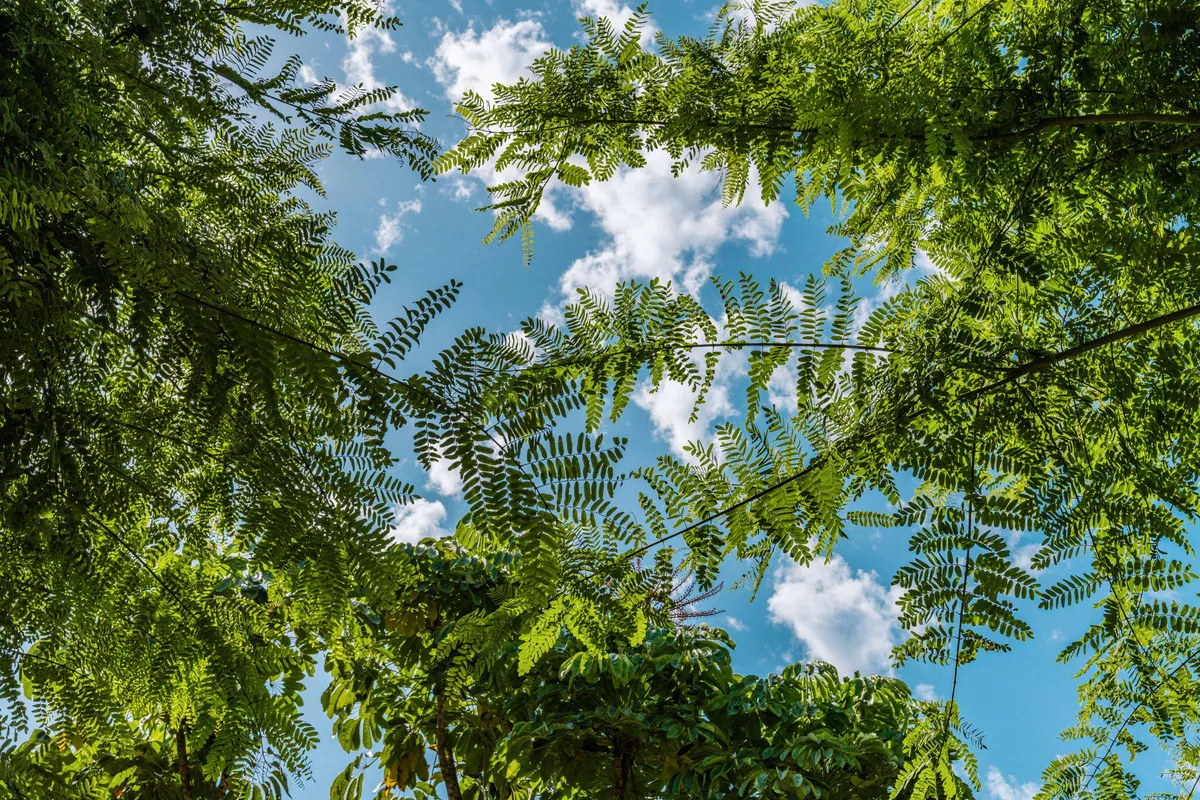 5a9e2c06-97d0-4703-a16c-5e7bbd18719d