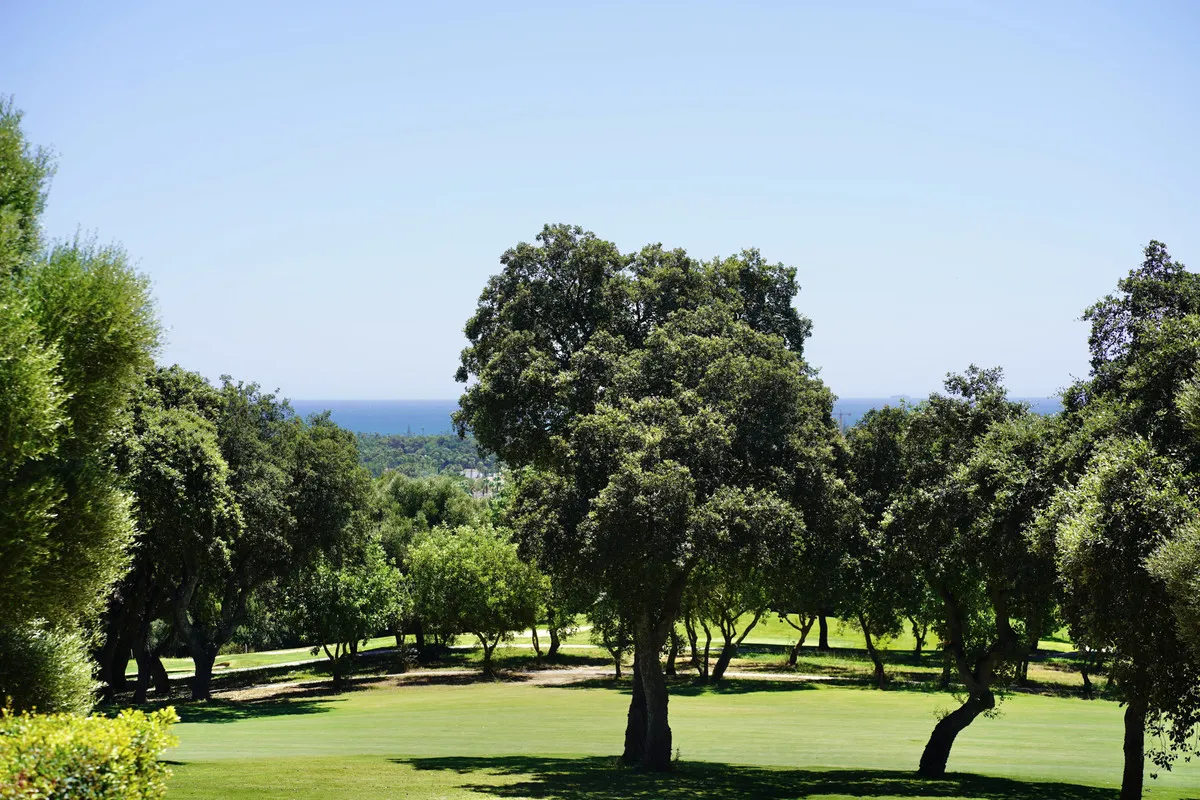 81cf6dff-72e3-491c-8067-9eac94030484