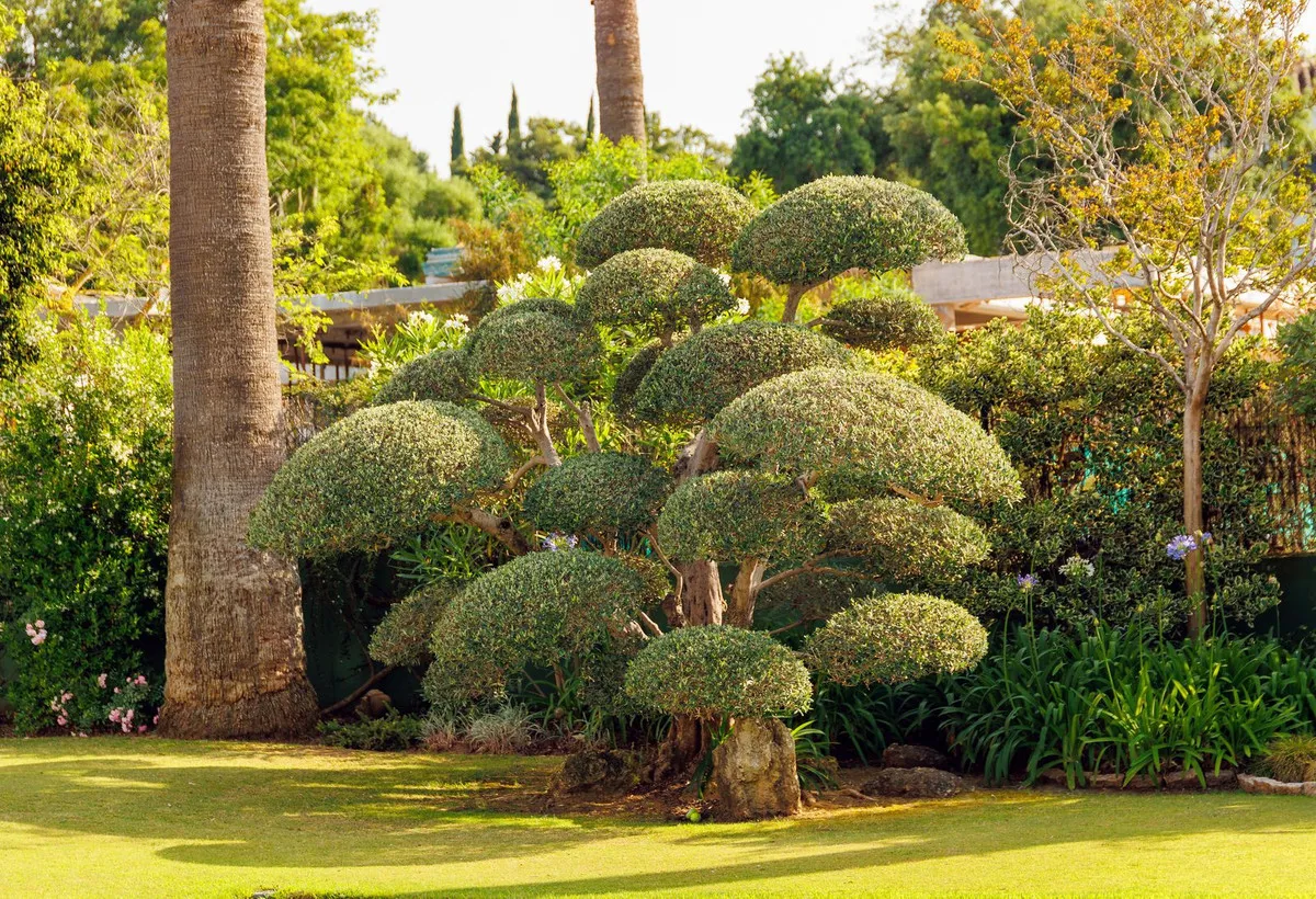 d64a3ce9-224e-4e29-9888-81eae00e43dc