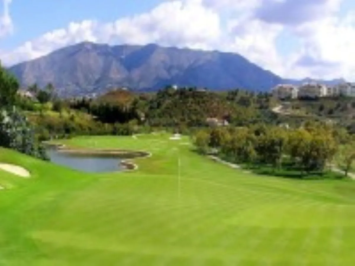 37a51c65-2de5-410a-92d4-f0427c1cc536