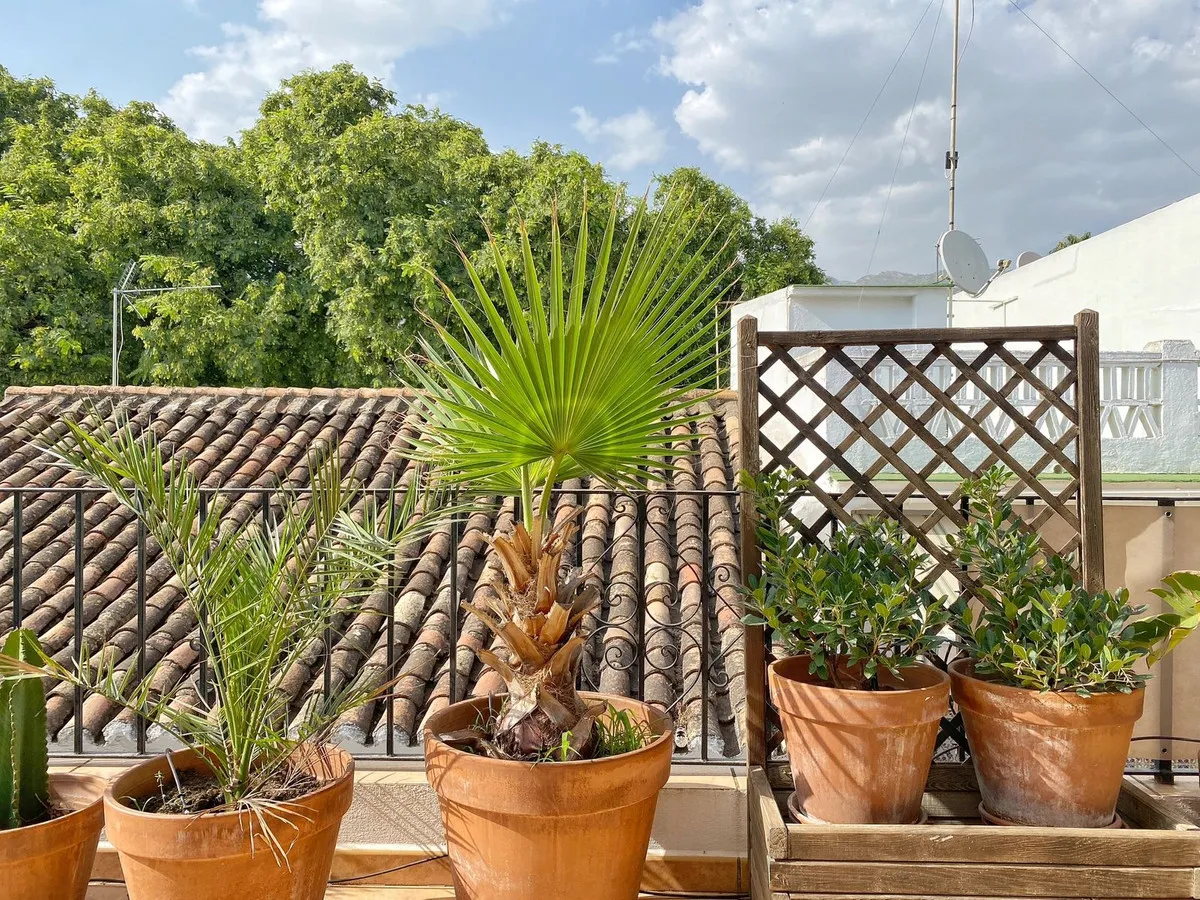 a70abe78-ffb7-49ee-8fed-50457f929e18