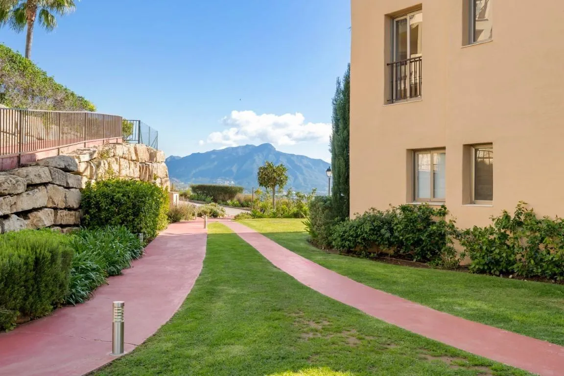 80ac01e4-6971-4930-9c01-b4c3cd3fabd2