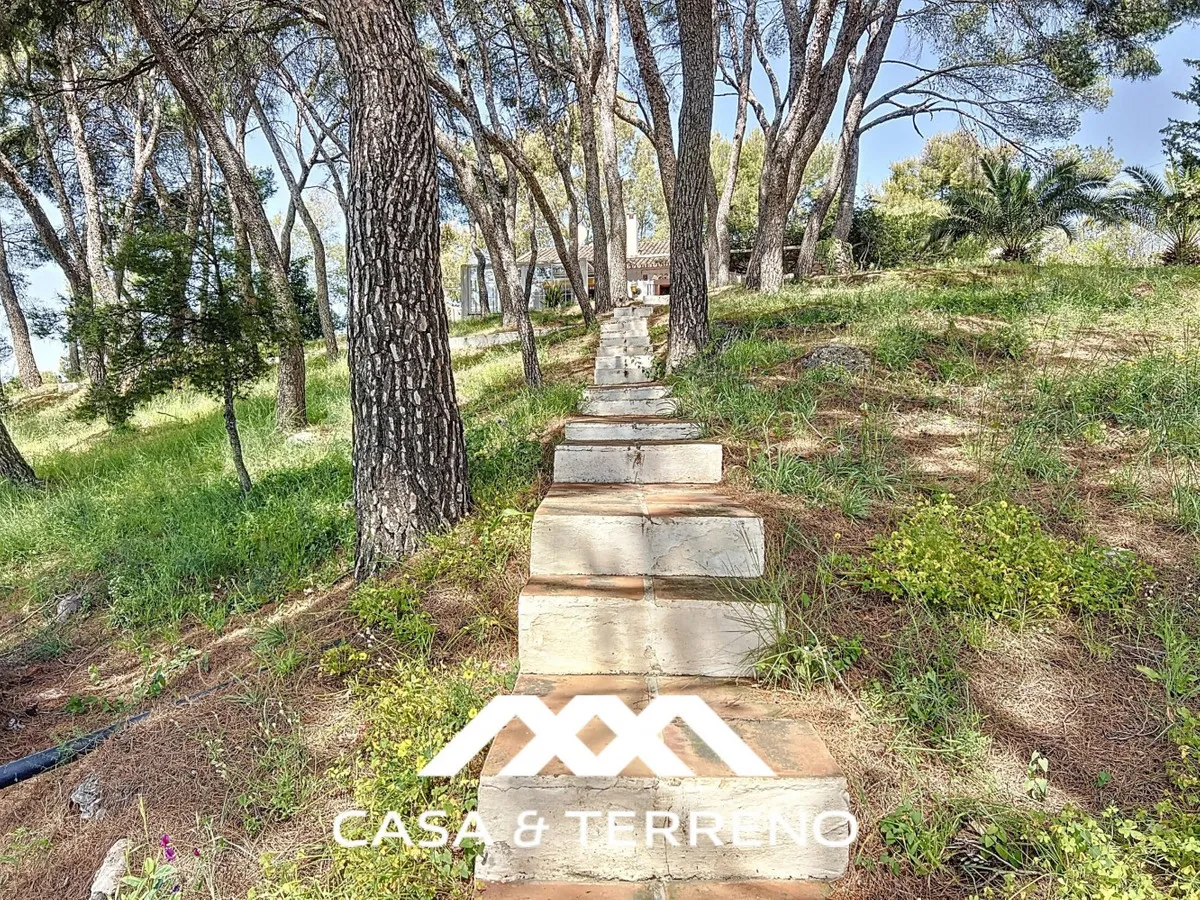 0bbef955-9b11-446e-bd46-6dd4acec9b30