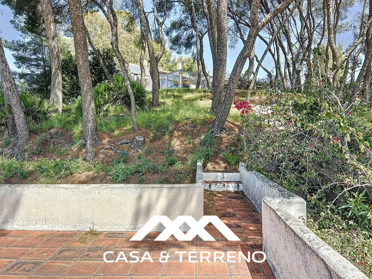 a87ed705-b61b-4efb-8f38-907c12ebf8e8