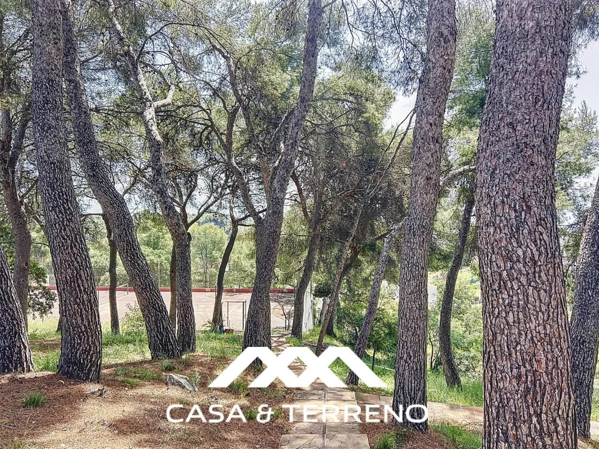 fc77963a-2568-4f56-929b-f50029f79623