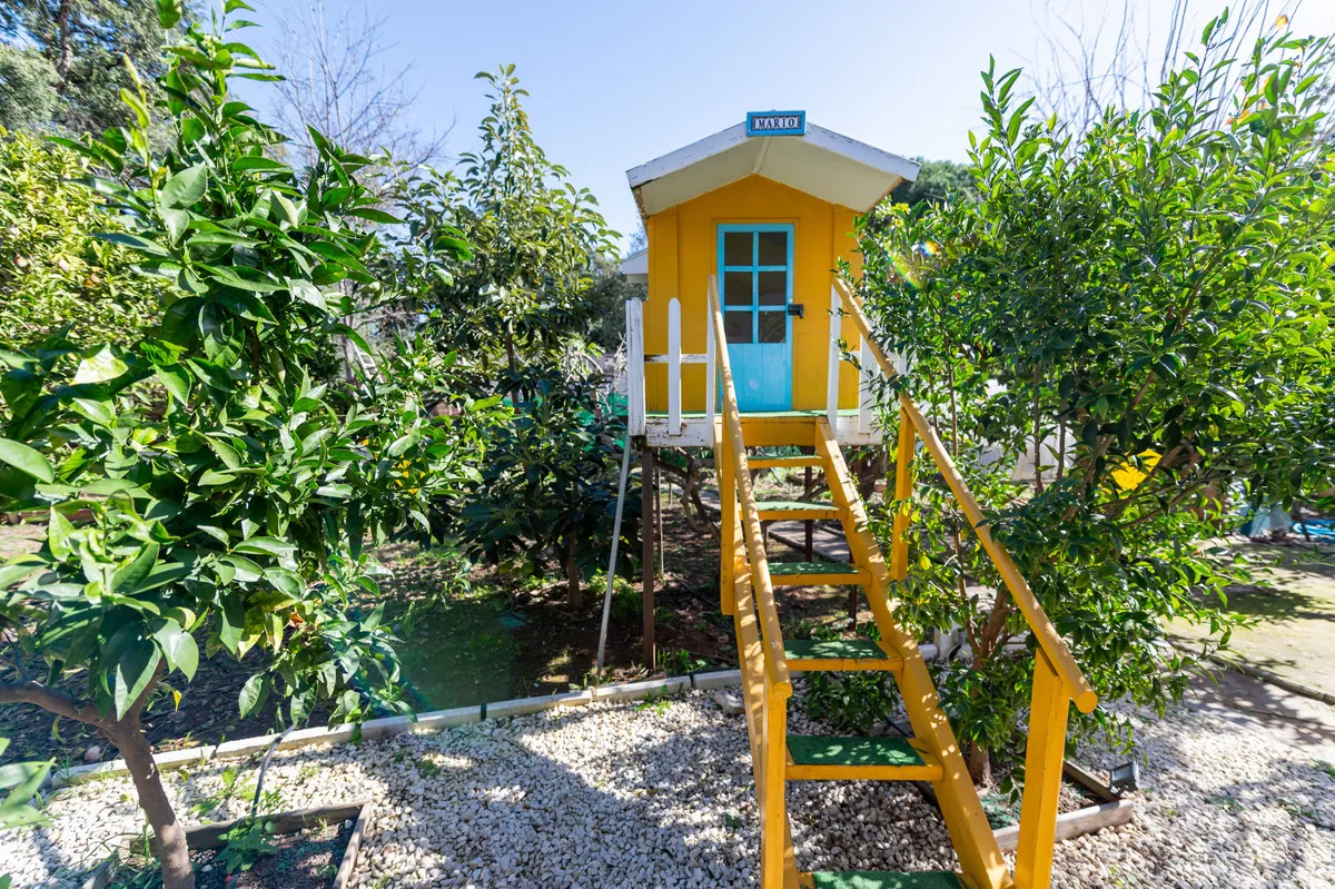 fe8ebd97-7825-4b61-9132-8ade411ee0f9