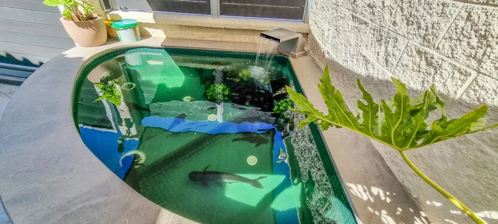 ffe9c0d3-dcf9-4a4a-8fa2-1496c85218db