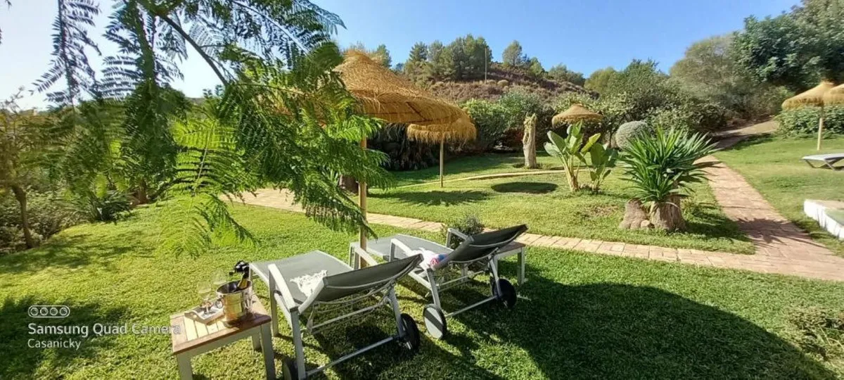 64facd68-d5f8-4c52-8392-ee0b323166ca