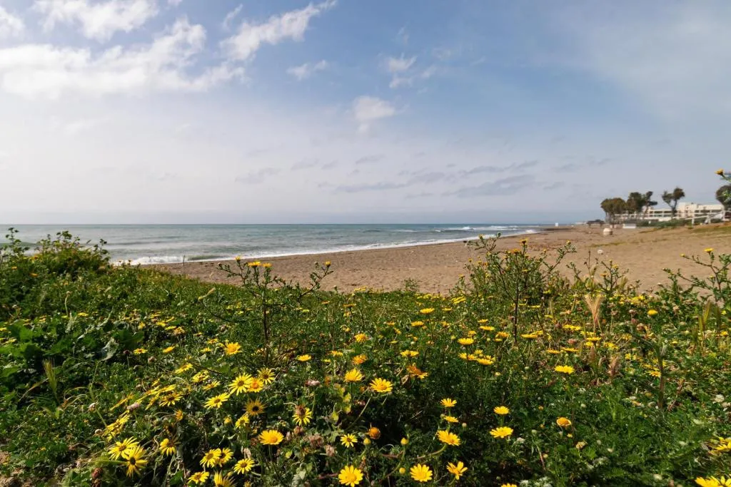 dfda2c84-80af-481b-88db-9481dab79157