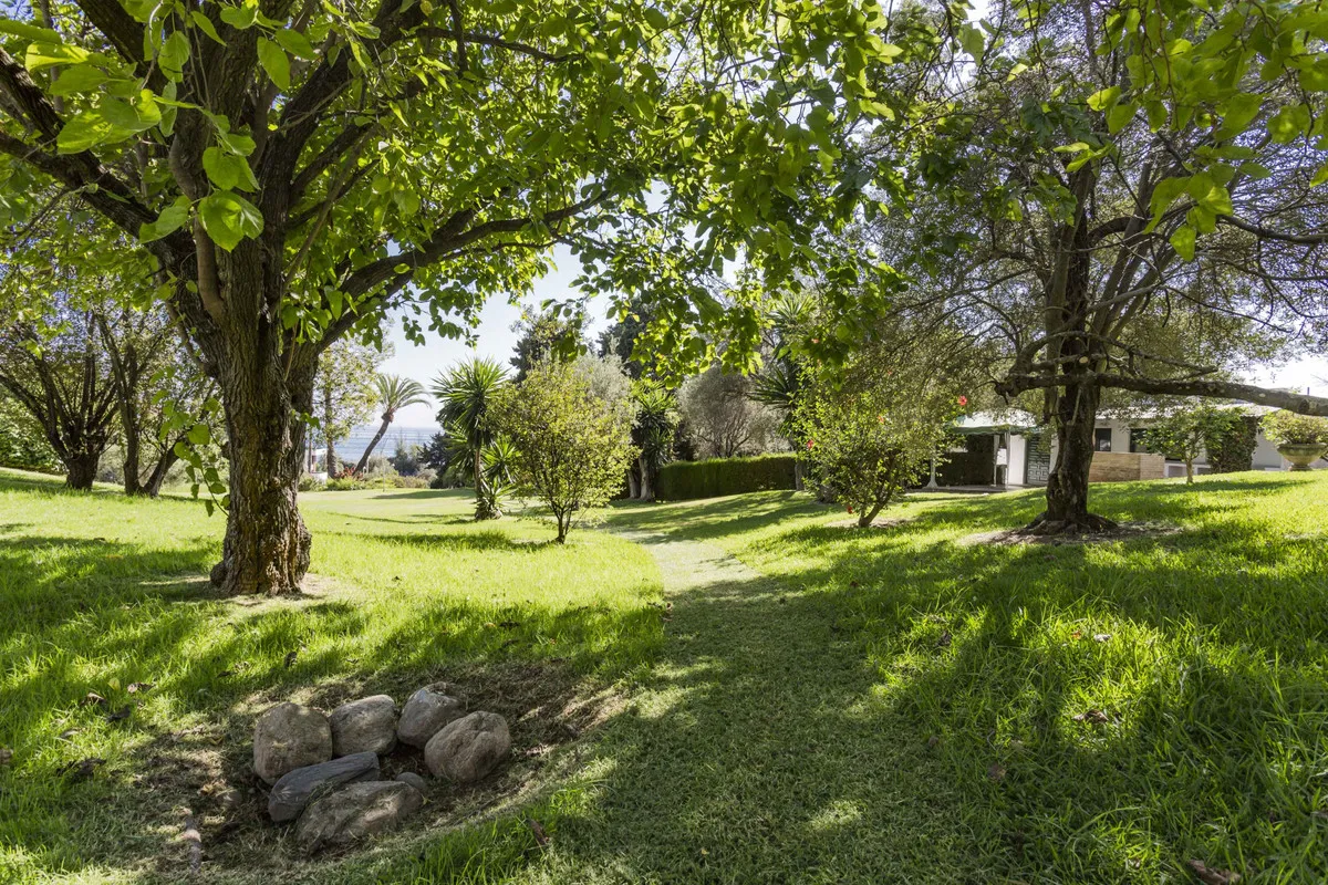 cef49fe8-f1fc-4b2c-93fa-d2b2f1bb7334