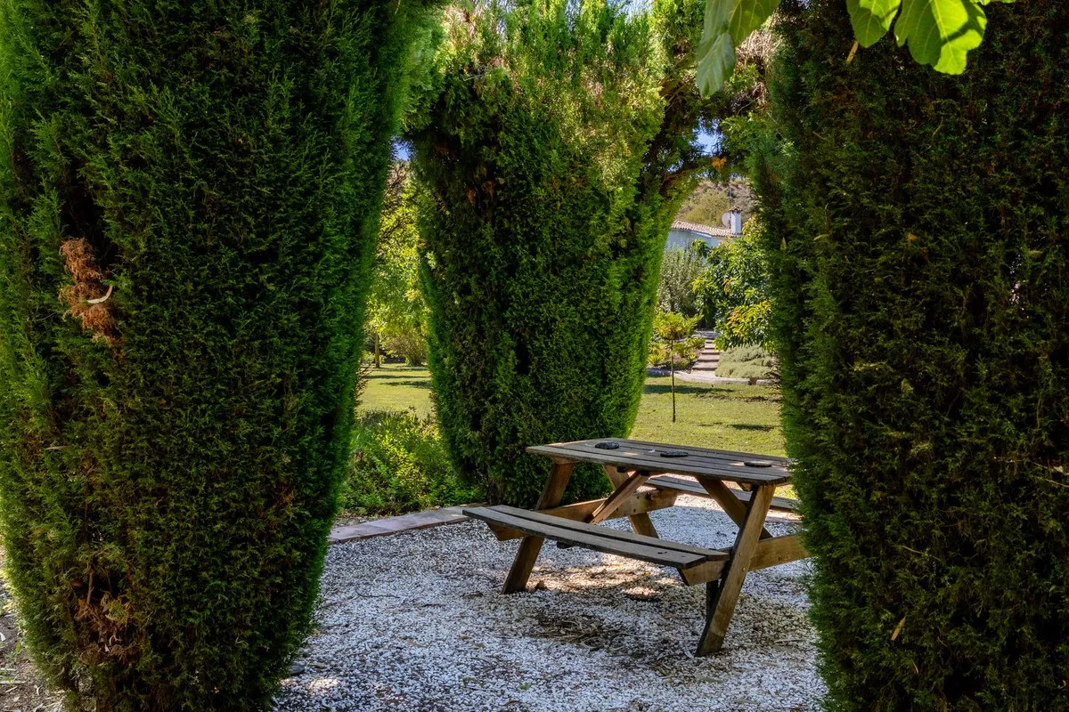 006039cd-9ff0-4bd7-9a87-0111bf775fc1