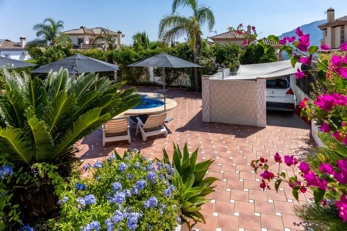 24a77317-fd42-4353-aada-3172194c2c02