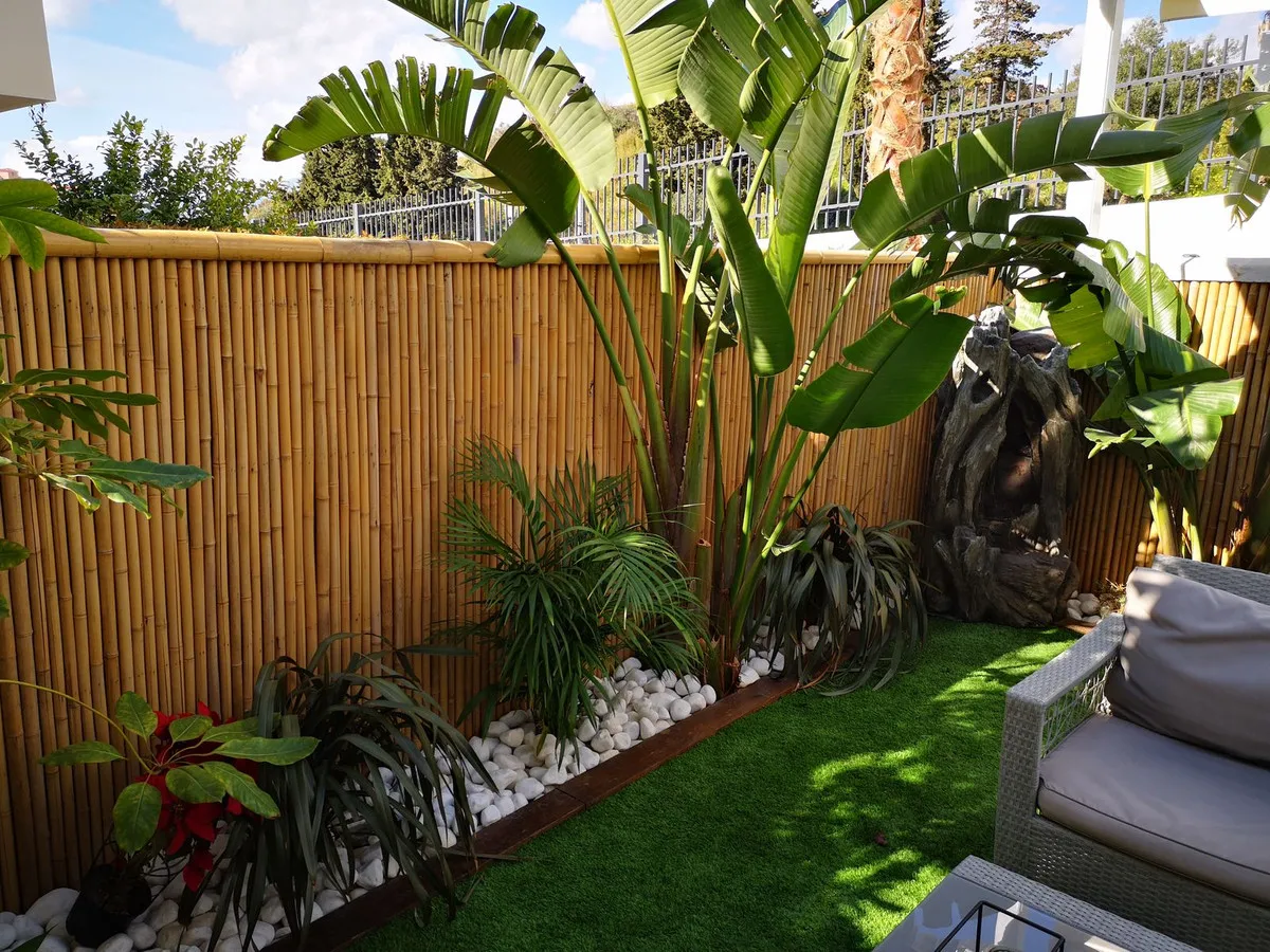 b38c1092-2b06-47e8-82a2-1c83721897cf