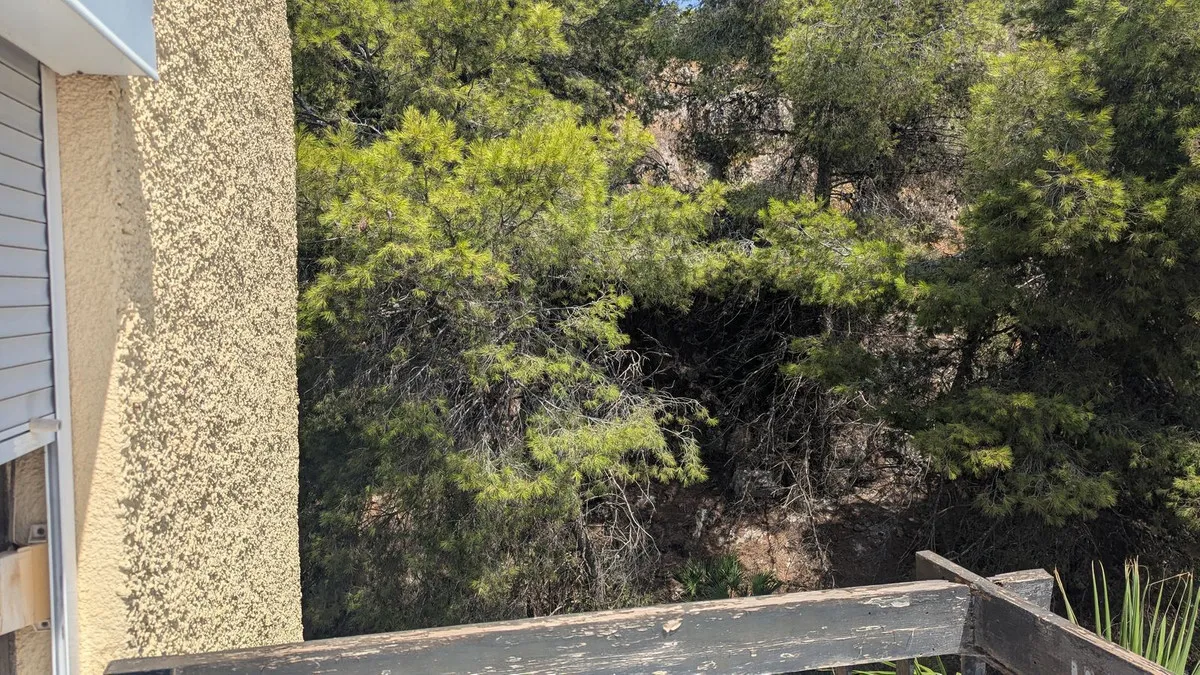 14cab0f9-894d-450a-9b63-06f3b2e0495f