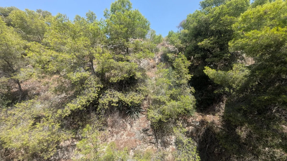 751cf118-aaed-46d7-a097-f1ee7c03b0b3