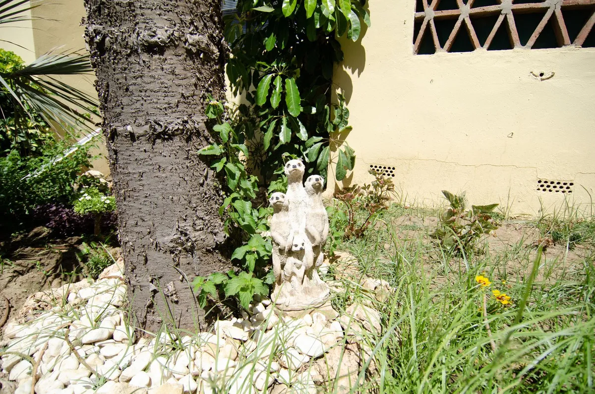 3298fe6c-2c76-4088-a149-ebb48849bc22