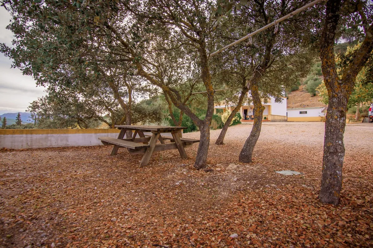 72a50bec-10fa-4e49-88ac-45b851200b25