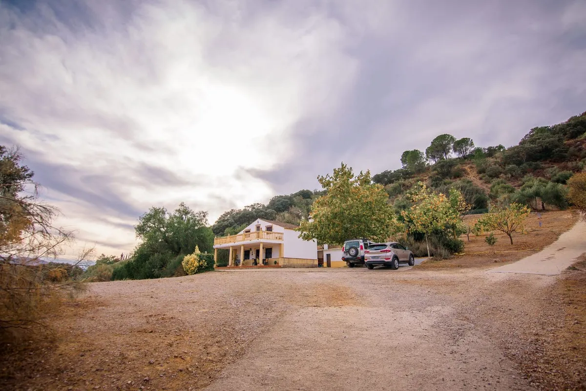 ac646f3b-9bd6-42ea-bffb-204982bf9514