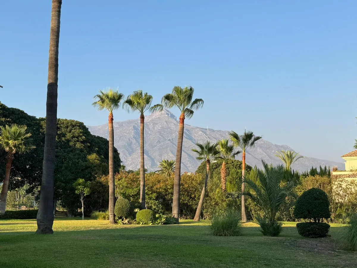 46b24947-703a-4b25-b89a-77fdd339ec22