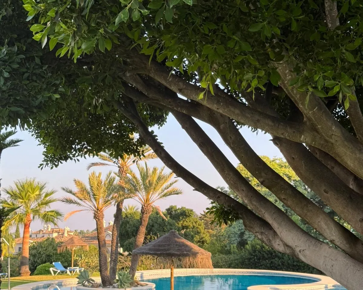 5a1bc620-c9c4-4a55-ba3a-0bc29994bdca