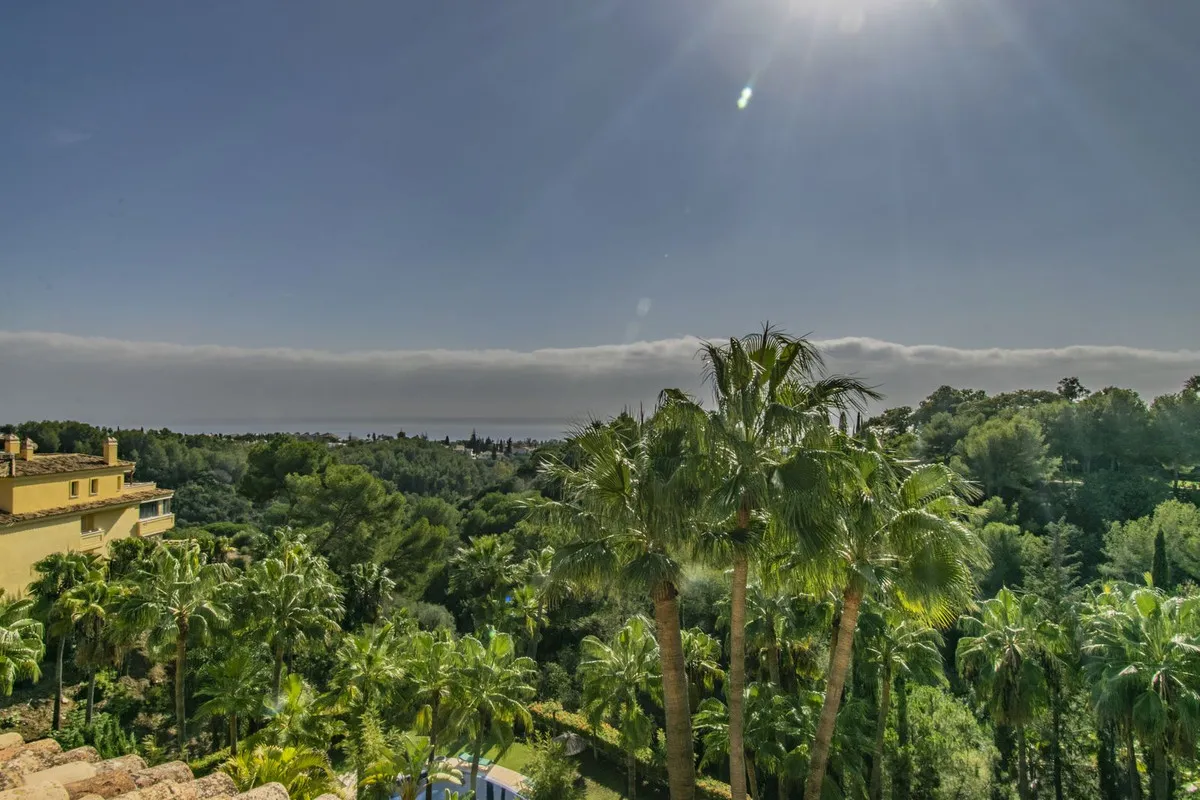 b512e1fa-7f37-47e3-8529-2544ebb9f84b