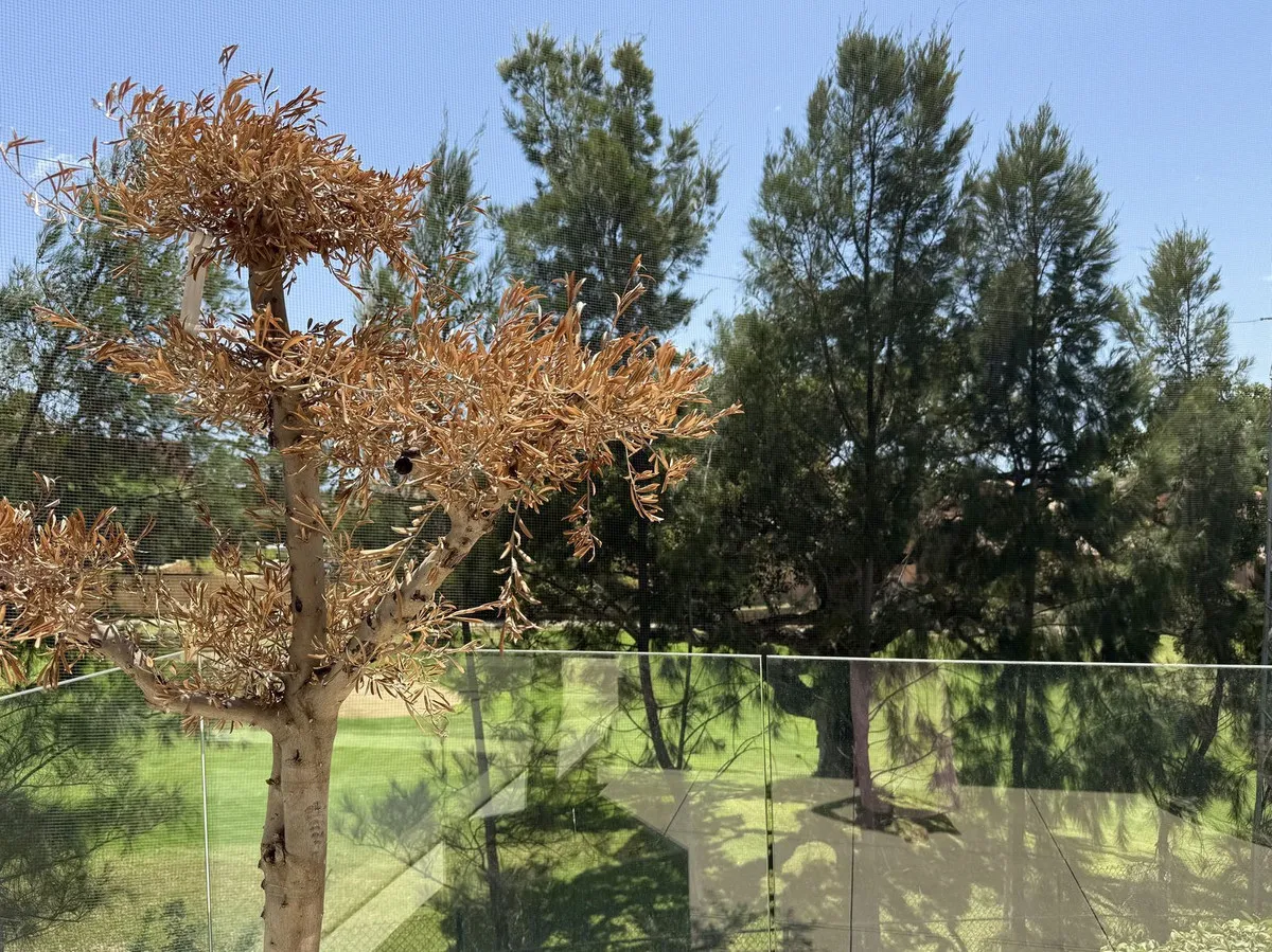 17ef66d2-3733-4ae8-bbfa-dcac4c7db832