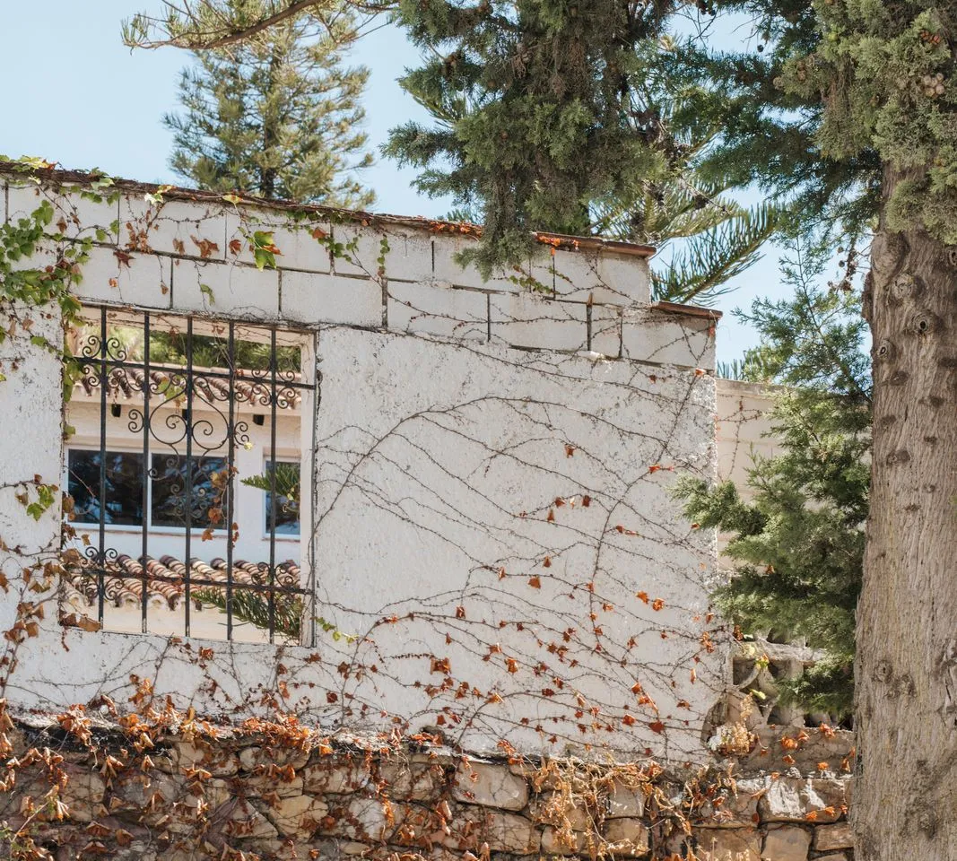 ada4e2c9-0ccc-4544-a3b4-d5aff1e3a03e