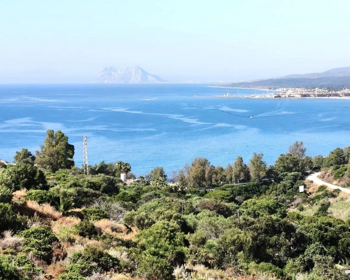 ddac3c08-9b9f-4c9d-b5cf-a0246a19d531