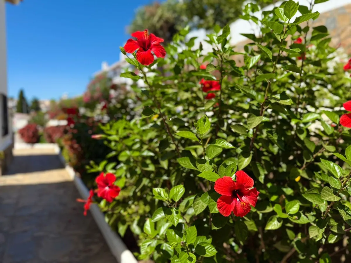 2d7737ff-5394-47d7-98be-d468bfbd1a85