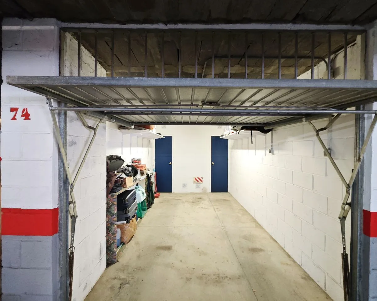 bc60caca-bfee-447e-b60c-3f3cd67d6b32