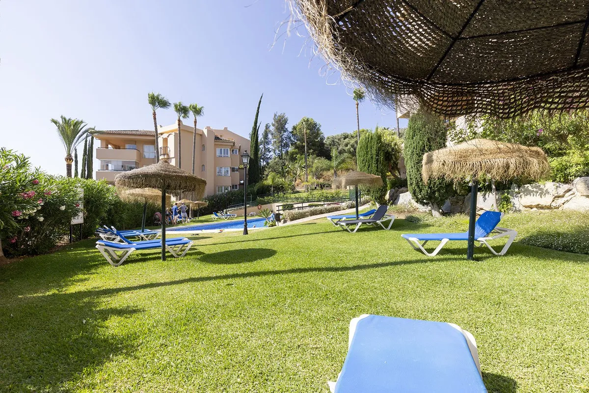 382b3905-6d4e-426f-86b5-cb264d74f5da