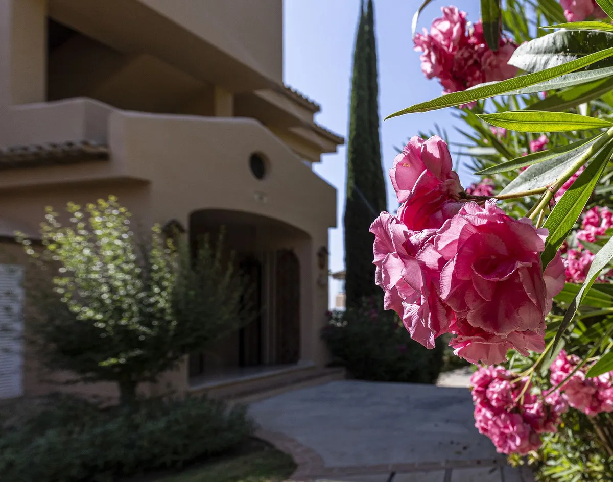 63ea37ac-e255-4ce9-93b3-5b51f519cfb6