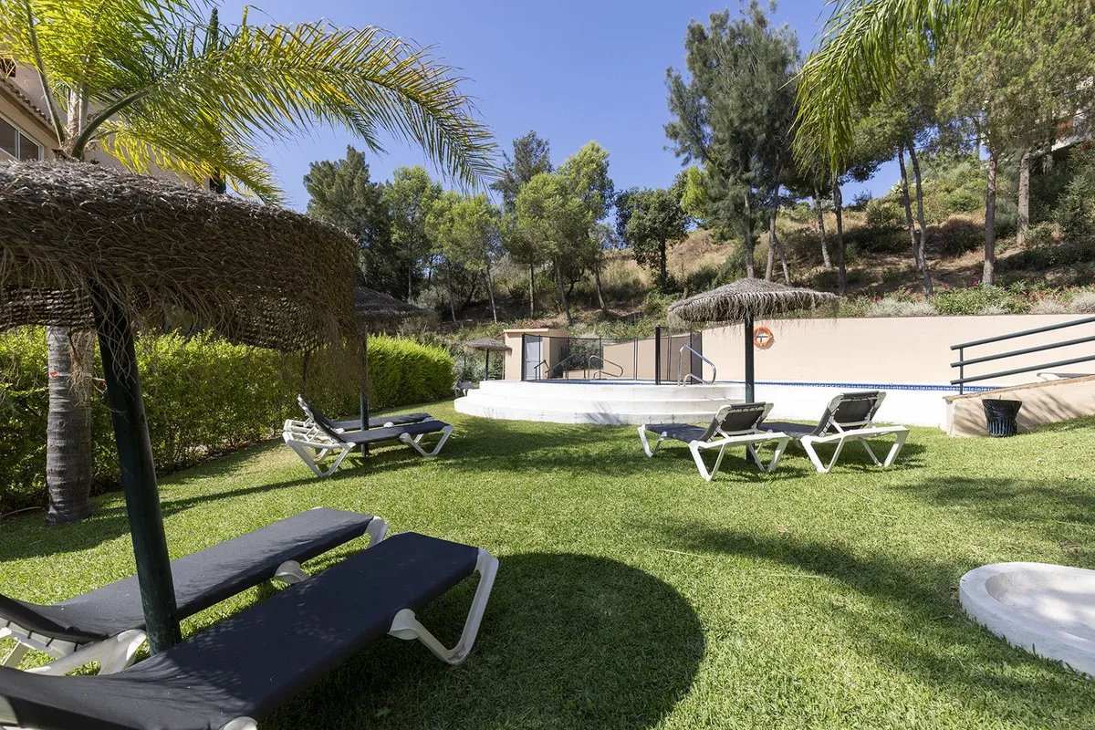 8ccdd021-b6d1-4831-8fc2-d8d695d57efc