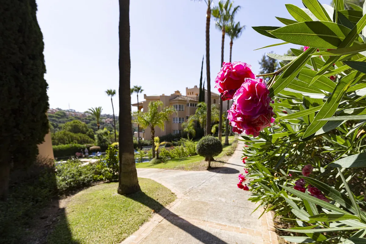 b1d159ef-41fd-4d47-85f7-004d12aafb7a