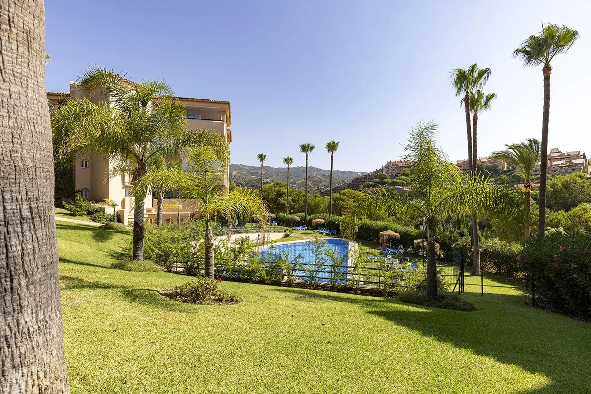 d45ac94e-2c42-4b23-9361-2c57ada34425