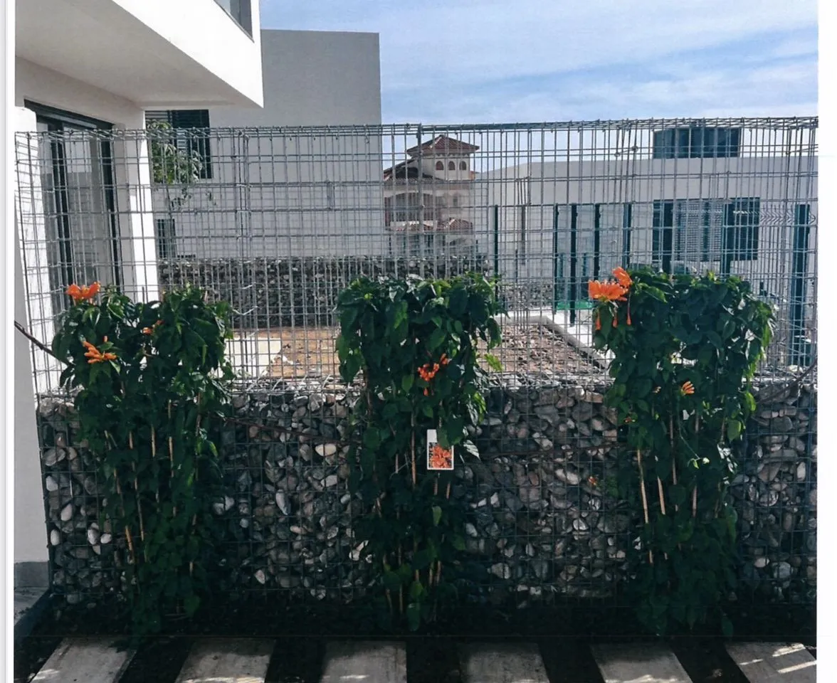 d8dcc131-51d0-4a27-a63e-7d49d922e54a