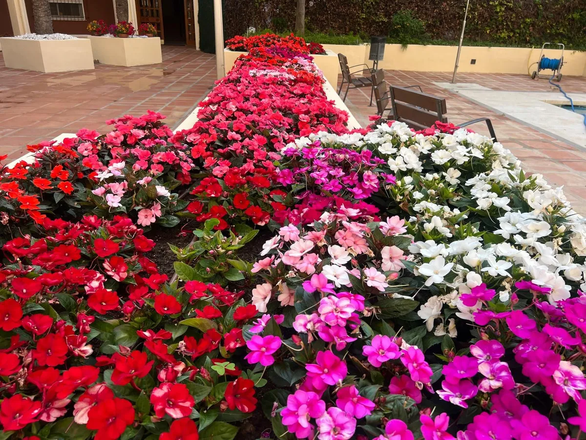 292242fe-a138-42b4-93aa-f5d33dac3054