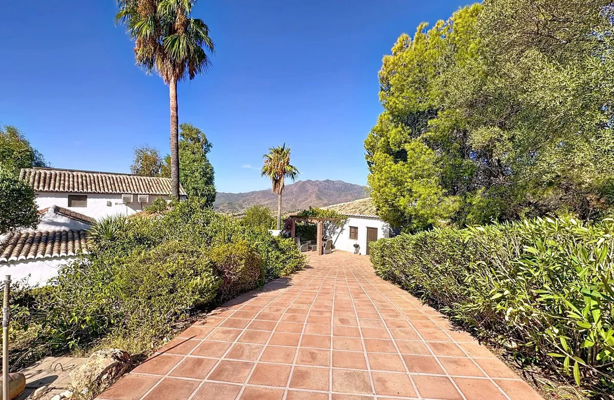 c3ee063f-25fb-4c6f-a631-744797fbf435